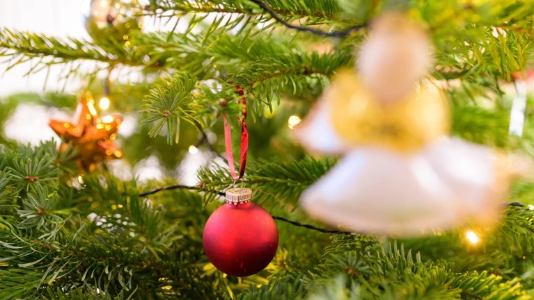 Ein geschmückter Tannenbaum. — © Jonas Walzberg/dpa/Symbolbild