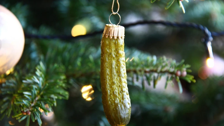 Essiggurke Gurke — © Bild: Adobe Stock / WoGi