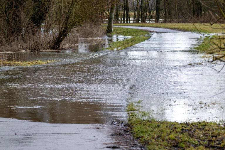 Der Main ist nach Regen und Tauwetter über die Ufer getreten. — © Pia Bayer/dpa