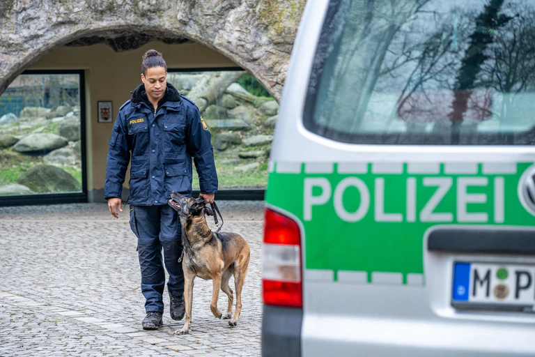 Polizeihundeführer sollen mehr Futtergeld bekommen. (Archivbild) — © Armin Weigel/dpa