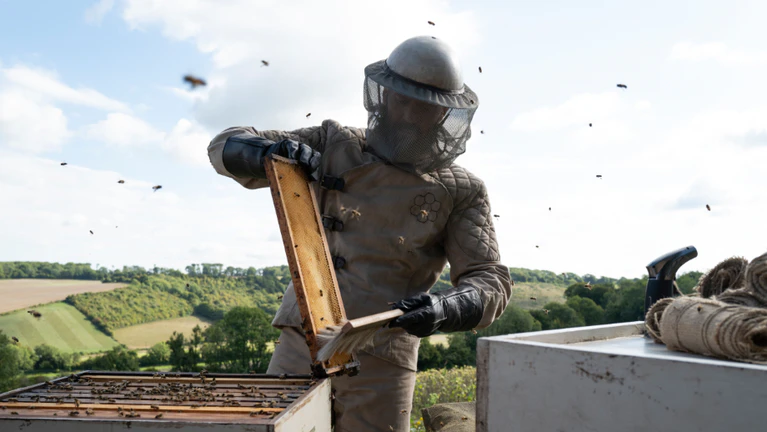The Beekeeper — © ©&nbsp;Bild: Leonine