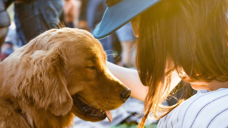 Hund streicheln Haustier — © Adam Griffith / Unsplash