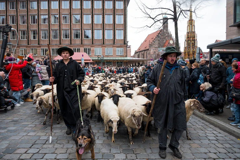 Die Schäfer-Familie, Helfer und ein Hund begleiten den Zug der Schafe quer durch die Großstadt. — © Daniel Vogl/dpa
