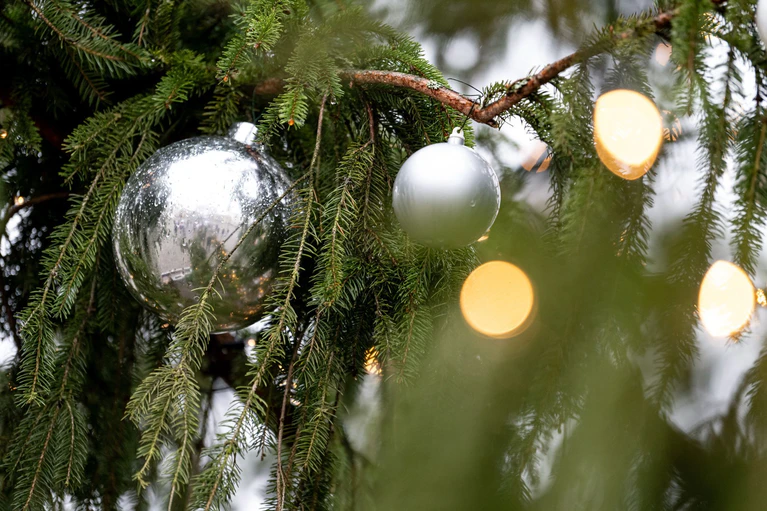Auch der Christbaumschmuck, die Lichterkette und ein angrenzender Holzzaun wurden beschädigt. (Symbolbild) — © Fabian Sommer/dpa
