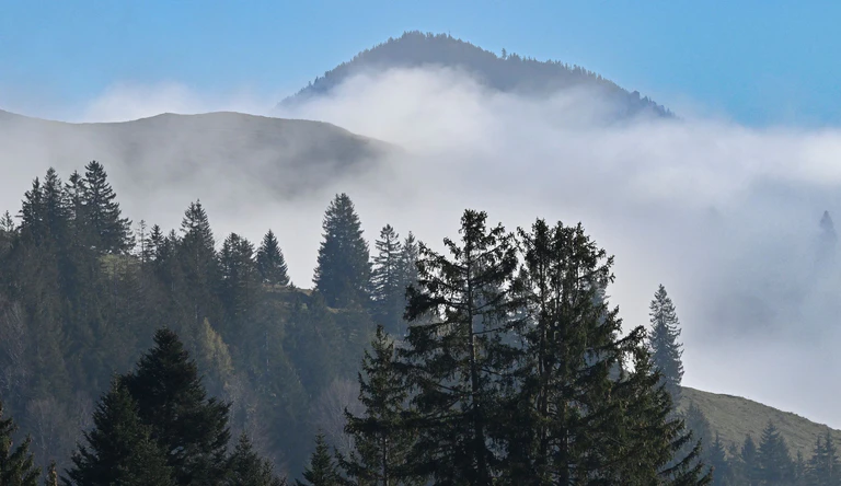 Viel Nebel und Sonne nur in höheren Lagen: Das sagt der Deutsche Wetterdienst für dieses Wochenende voraus. (Symbolbild) — © Uwe Lein/dpa