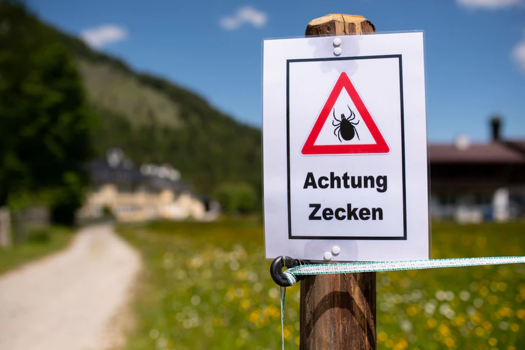 Nach einem Aufenthalt in der Natur sollte man sich unbedingt intensiv absuchen, denn diese stechen nicht sofort. Möglicherweise lässt sich so eine Infektion noch rechtzeitig verhindern. (Archivbild) — © Sven Hoppe/dpa