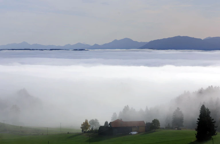 Mit nebligem Wetter rechnet der DWD in weiten Teilen Bayerns. (Archivbild) — © Karl-Josef Hildenbrand/dpa
