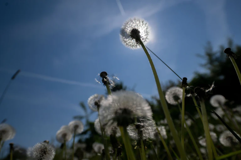 Bereits am Nachmittag kann man aber mancherorts schon die Sonne genießen. (Archivbild) — © Pia Bayer/dpa