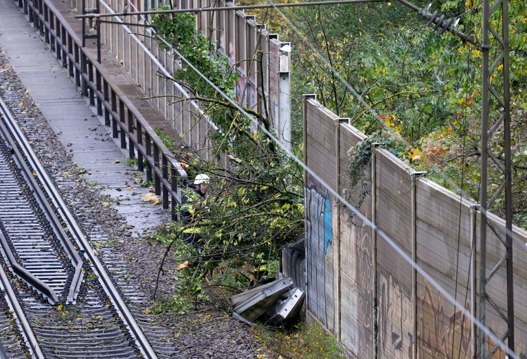 Der Baum hatte eine Lärmschutzwand durchbrochen und war auf den fahrenden Zug gefallen. — © Sven Hoppe/dpa