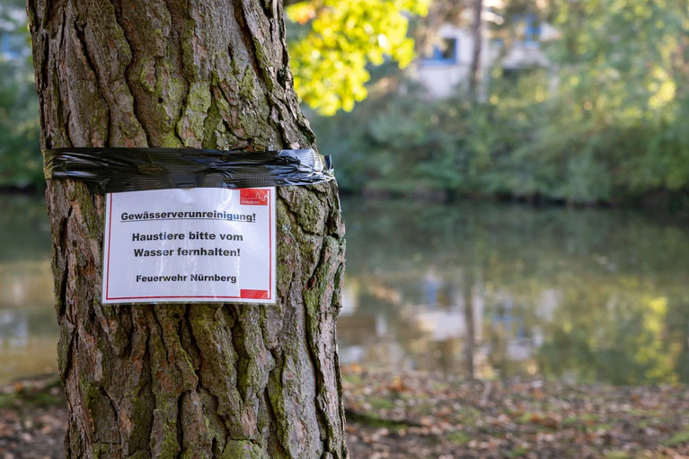 Am Langwassersee in Nürnberg gab es ein rätselhaftes Fischsterben. — © Daniel Karmann/dpa