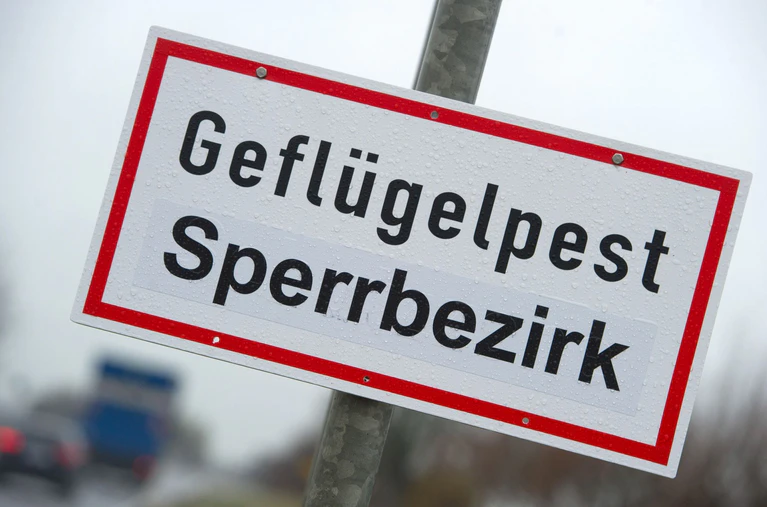 Im Landkreis Ansbach gelten nun strenge Vorschriften für Geflügelzüchterinnen und züchter. — © Stefan Sauer/dpa-Zentralbild/dpa