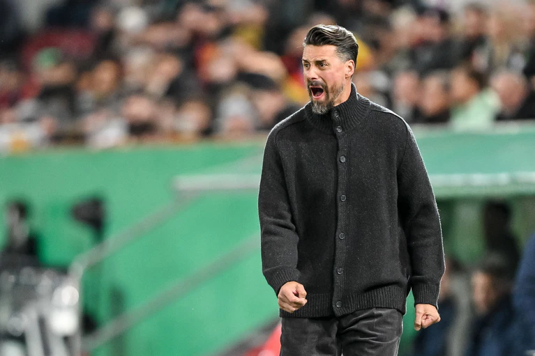 Der Frust muss raus: Sandro Wagner schreit am Spielfeldrand.  — © Harry Langer/dpa