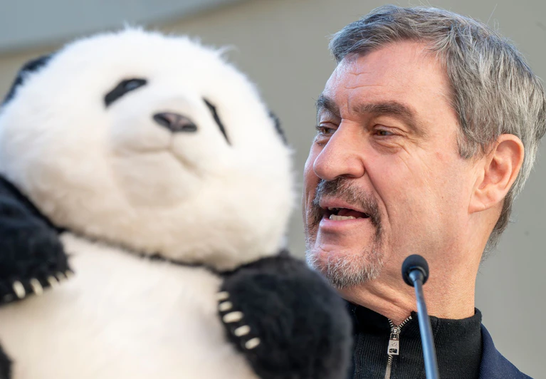 Noch hat Söder (r) nur einen Plüschbären in seinem Büro, doch spätestens 2028 soll es echte Tiere in München geben. — © Peter Kneffel/dpa