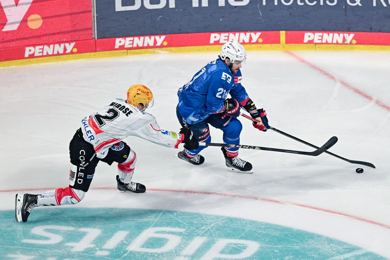 Die Adler Mannheim und die Fischtown Pinguins aus Bremerhaven lieferten sich einen harten Fight. — © Uwe Anspach/dpa
