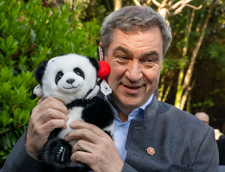 Auch Bayerns Ministerpräsident Markus Söder (r.) hat Gefallen an Pandas gefunden. (Archivbild) — © Peter Kneffel/dpa