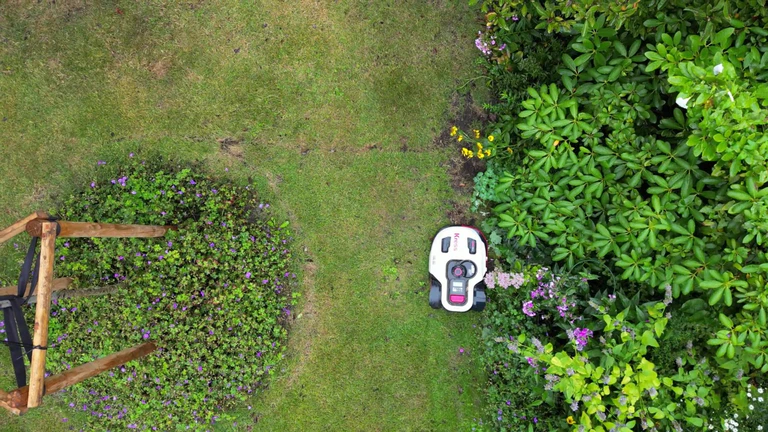 Wenn der Mähroboter kommt, fliehen Igel leider nicht automatisch. Wenn sich die Tiere zusammenrollen, können die Maschinen zur tödlichen Gefahr werden. (Symbolbild) — © Sascha Thelen/dpa