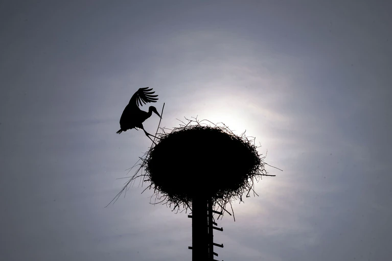Zu Beginn der Pfingstferien sollen die Temperaturen deutlich steigen. (Archivbild) — © Pia Bayer/dpa
