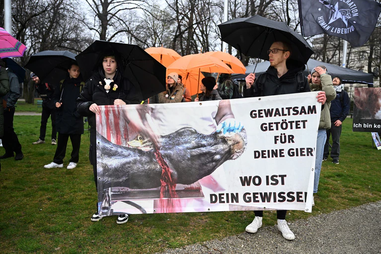 Etwa 40 Aktivisten der Organisation «Animal Rebellion» demonstrierten in der Nähe der Kundgebung. — © Felix Hörhager/dpa