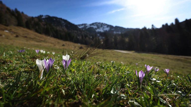Frühlingsgefühle - und dann wieder Regen. Es bleibt das Aprilwetter. — © Karl-Josef Hildenbrand/dpa