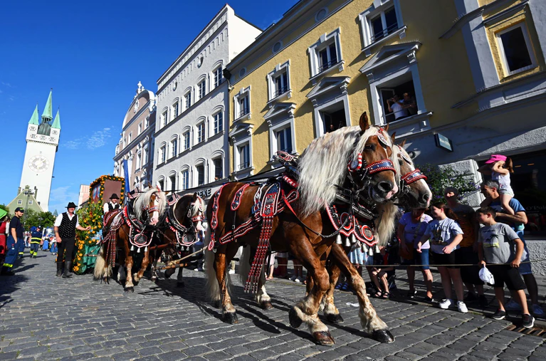 Eine traditionelle Pferdekutsche ist in Straubing in der Innenstadt unterwegs.  — © Armin Weigel/dpa