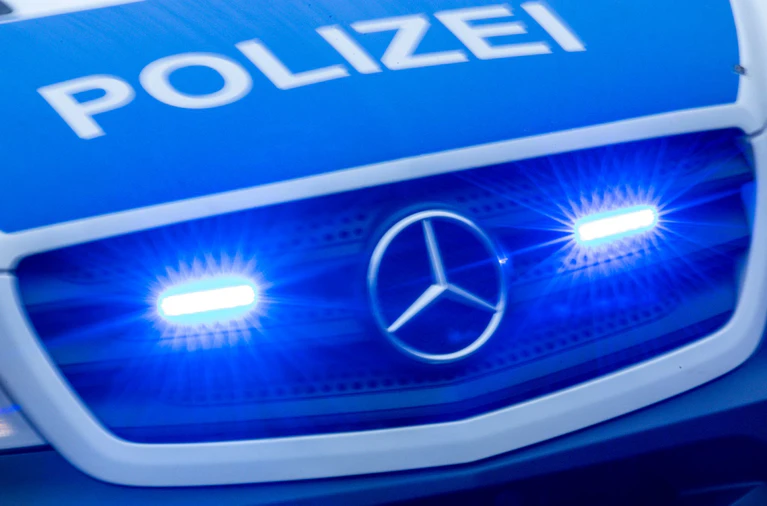 Im Fußraum des Autos fand die Polizei einen Karton mit den zwei Welpen. (Symbolbild) — © Jens Büttner/dpa