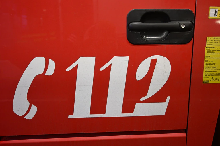 Bei einem Brand sind 100 Schweine verendet. (Symbolbild) — © Felix Hörhager/dpa