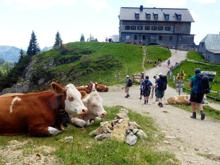 Das Rotwandhaus ist ein beliebtes Wanderziel. (Archivbild) — © Angelika Warmuth/dpa