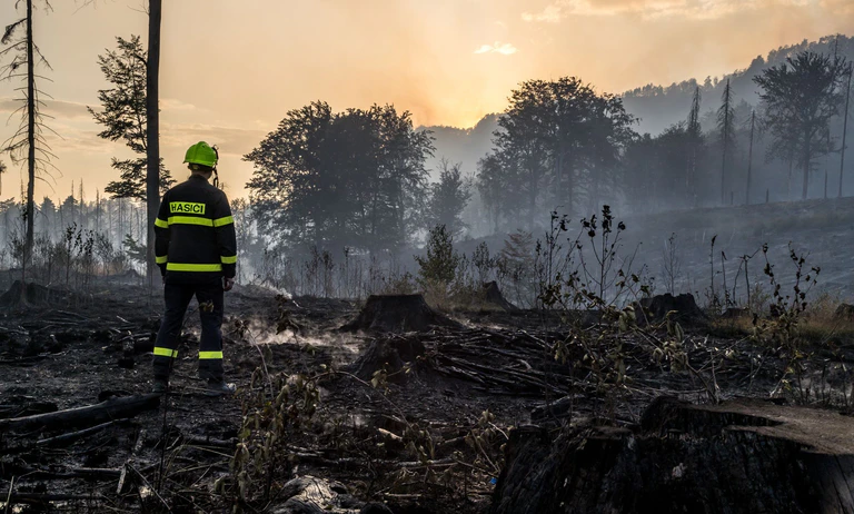 2022 wütete ein heftiger Waldbrand im Grenzland zwischen Sachsen und Tschechien. (Archivbild) — © Hájek Vojtìch/CTK/dpa
