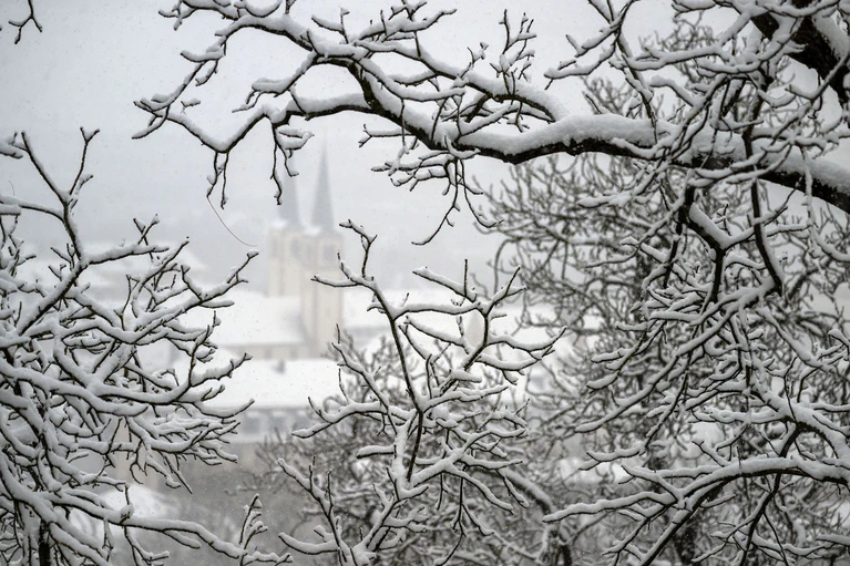 Allmählich normalisiert sich die Lage wieder.  — © Pia Bayer/dpa