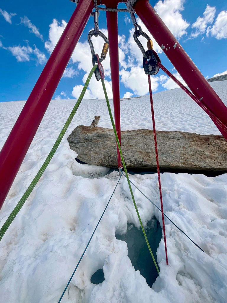 Ein Chihuahua hilft Rettern bei der Bergung seines Herrchens aus einer Gletscherspalte — © --/Air Zermatt/dpa