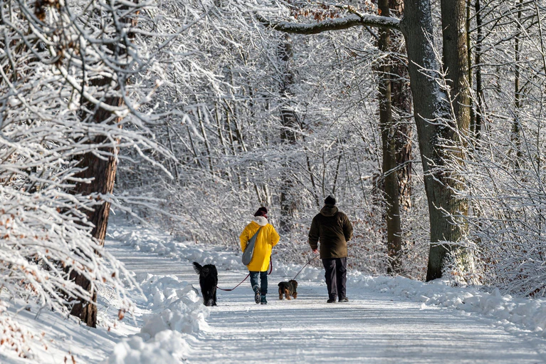 In Coburg liegen die Höchstwerte bei minus 7 Grad. — © Daniel Vogl/dpa