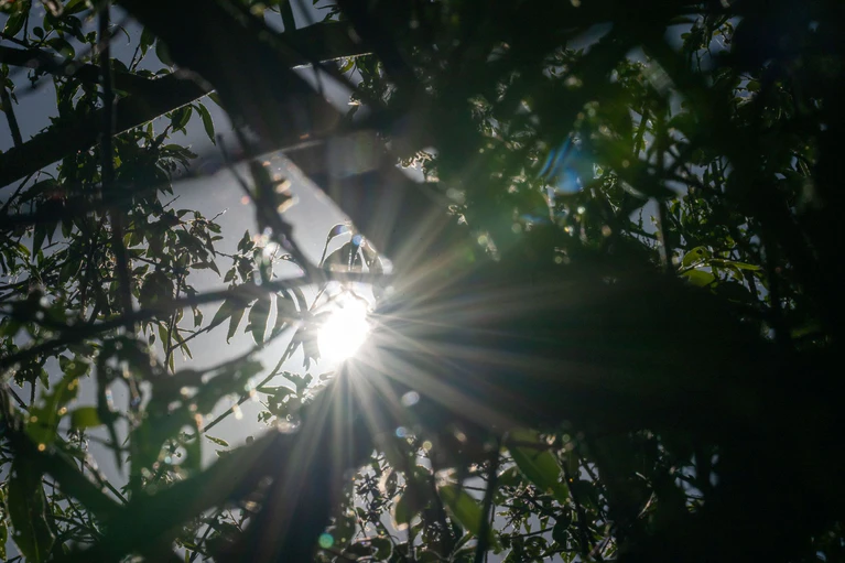 Die sonnigen Tage haben viele Menschen erfreut - doch Landwirte und Winzer hoffen nun auf Regen. (Archivbild) — © Pia Bayer/dpa