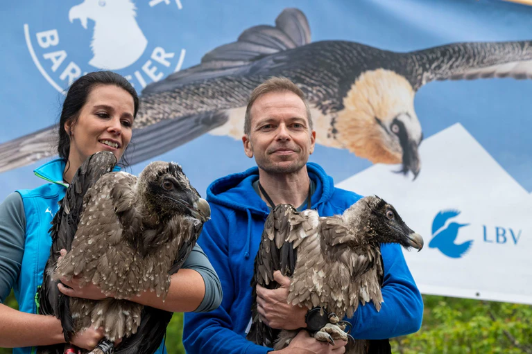 Großer Auftritt für große Vögel: Generl und Luisa. — © Peter Kneffel/dpa