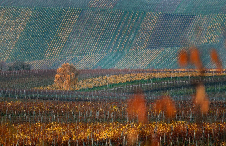 Der Donnerstag dürfte vielerorts sonnig werden. (Archivbild) — © Karl-Josef Hildenbrand/dpa