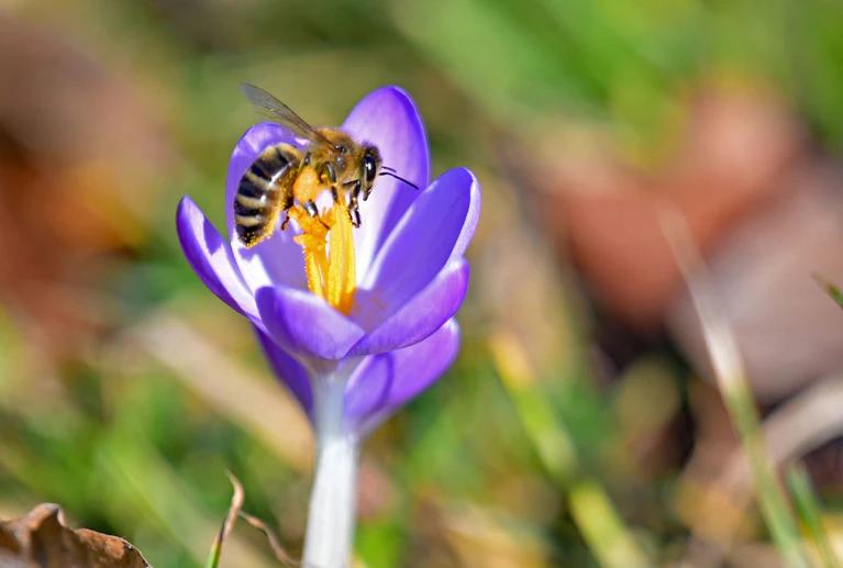 Die Temperaturen in Bayern steigen weiter. — © Malin Wunderlich/dpa