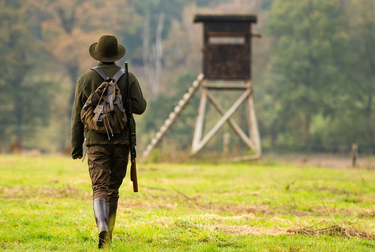 Bayerns Jäger haben nach Ansicht von Jagdminister Aiwanger einen wichtigen Beitrag &nbsp;zum Schutz bedrohter Arten wie Bodenbrütern geleistet.  — © Philipp Schulze/dpa