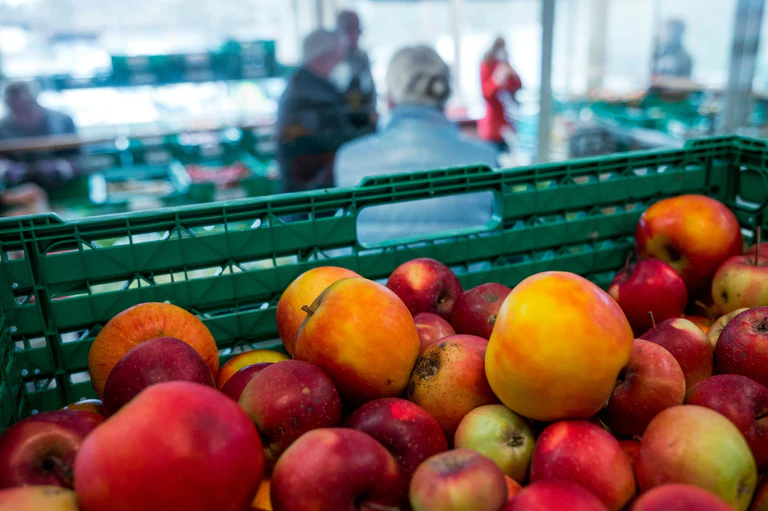 Viele Einrichtungen nutzen die Zeit im Sommer für Reparatur- und Reinigungsarbeiten - davor werden die Lebensmittel ausgeräumt und verteilt. (Symbolbild) — © Daniel Vogl/dpa