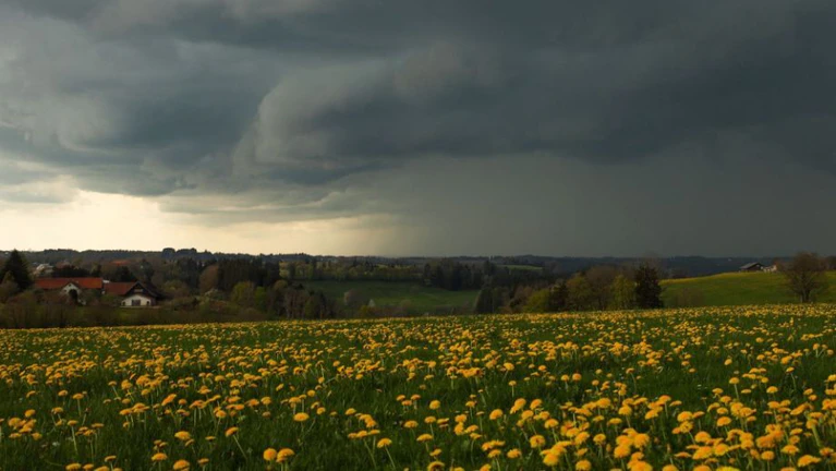 Bereits heute ziehen die ersten Regenwolken im Freistaat auf. Ab Dienstag wird es dann vielerorts nass. (Symbolbild) — © Alexander Wolf/onw-images/dpa