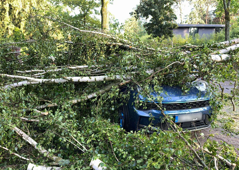Bäume, die auf Autos stürzen, und andere Naturgefahren durch Unwetter richteten vergangenes Jahr deutlich weniger Schäden an. (Archivbild) — © Jens Dudziak/dpa
