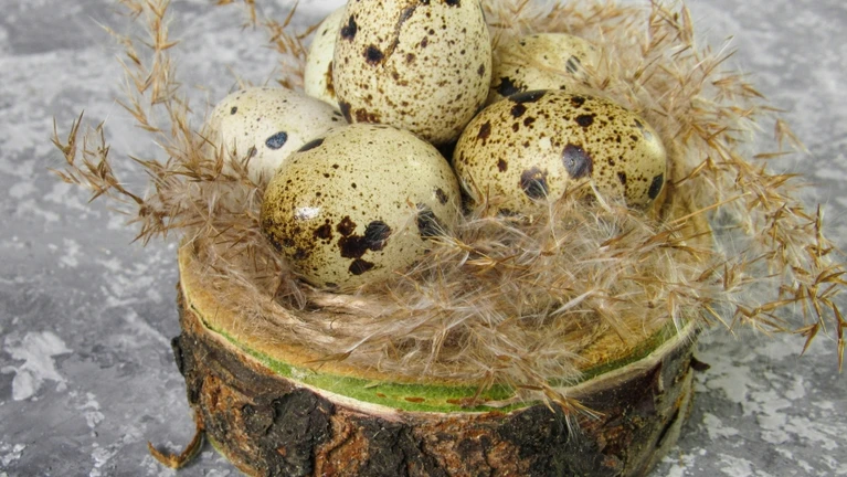 Osterdeko Ostern — © Karyna Panchenko / Unsplash
