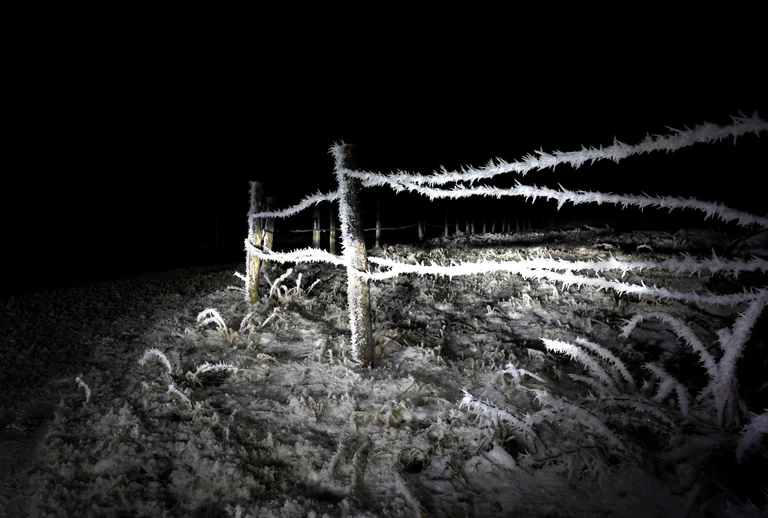Bis auf minus 12 Grad können die Temperaturen in Bayern in der Nacht auf Montag sinken. (Archivbild) — © Karl-Josef Hildenbrand/dpa