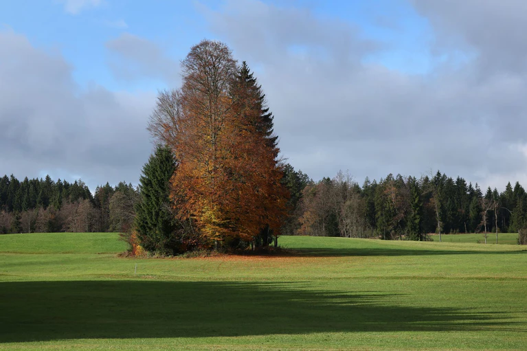 Am Wochenende soll das Wetter zweigeteilt werden: mal Sonne, mal Wolken und Regen. — © Karl-Josef Hildenbrand/dpa