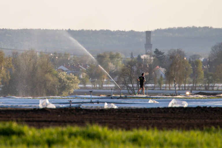 Im Knoblauchsland wird mit Flusswasser bewässert. (Archivbild) — © Daniel Karmann/dpa