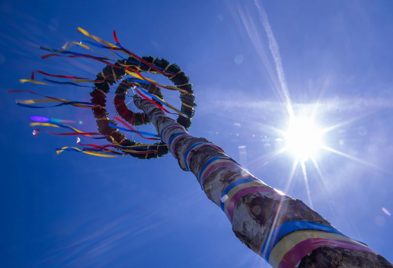 Es gibt meist einen großen Maibaum an zentralen Plätzen der Ortschaften - aufwendig dekoriert und vor dem Aufstellen gut bewacht. (Symbolbild) — © Jens Büttner/dpa