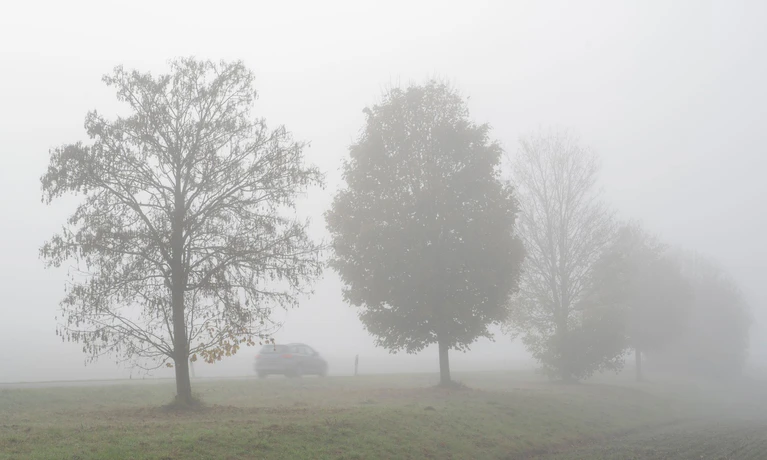 Nebel prägt in diesen Tagen vielerorts das Wetter im Freistaat. (Archivbild) — © Stefan Puchner/dpa