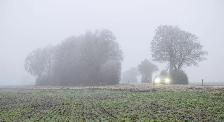 In Bayern gibt es am Wochenende Nebel. (Archivbild) — © Stefan Puchner/dpa