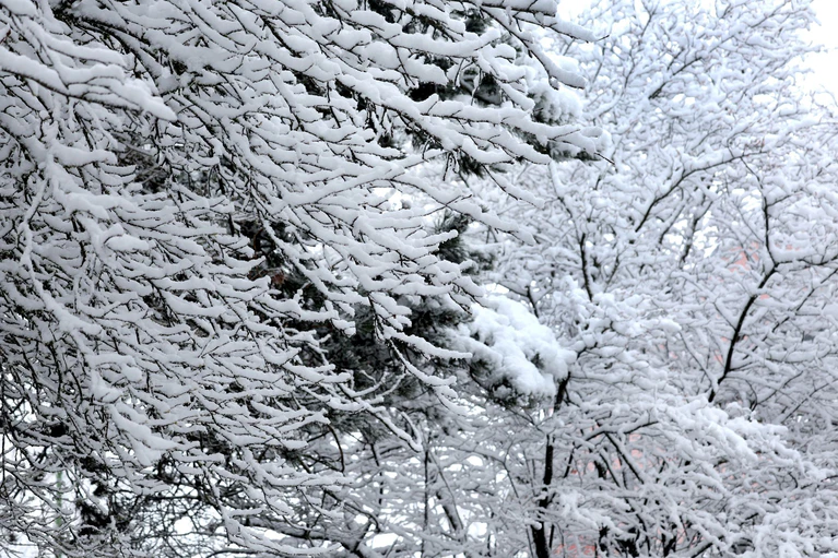 Kurz vor dem ersten Osterferien-Wochenende kam noch einmal der Schnee nach Bayern zurück.  — © Karl-Josef Hildenbrand/dpa