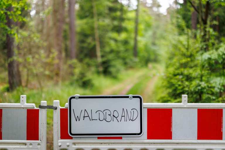 Die Waldbrandgefahr in Bayern ist hoch. (Symbolbild) — © Daniel Karmann/dpa