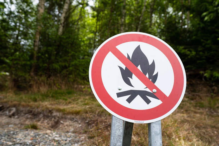 An vielen Orten in Bayern ist die Waldbrandgefahr in den kommenden Tagen hoch. (Symbolbild) — © Nicolas Armer/dpa
