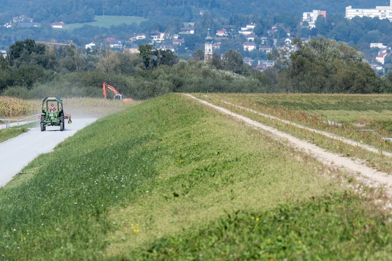 Nach einer Hochwasserkatastrophe wurden im Raum Deggendorf neue Dämme gebaut. Naturschützer verlangen allerdings mehr natürlichen Hochwasserschutz. (Archivbild) — © picture alliance / dpa
